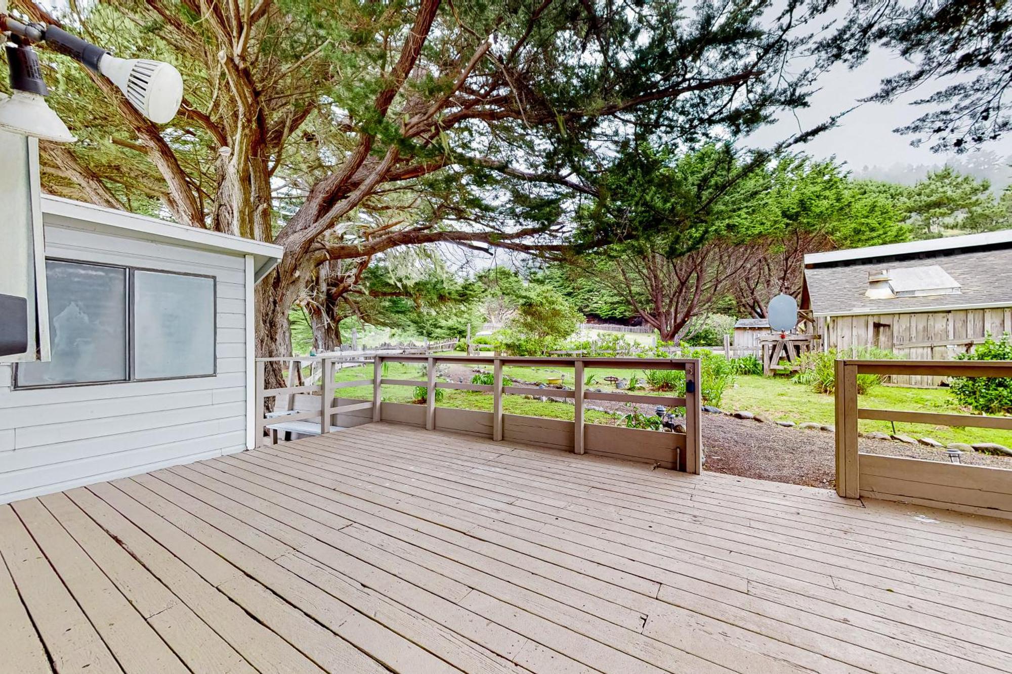 Saddle Point Ocean View Cottage Elk Εξωτερικό φωτογραφία